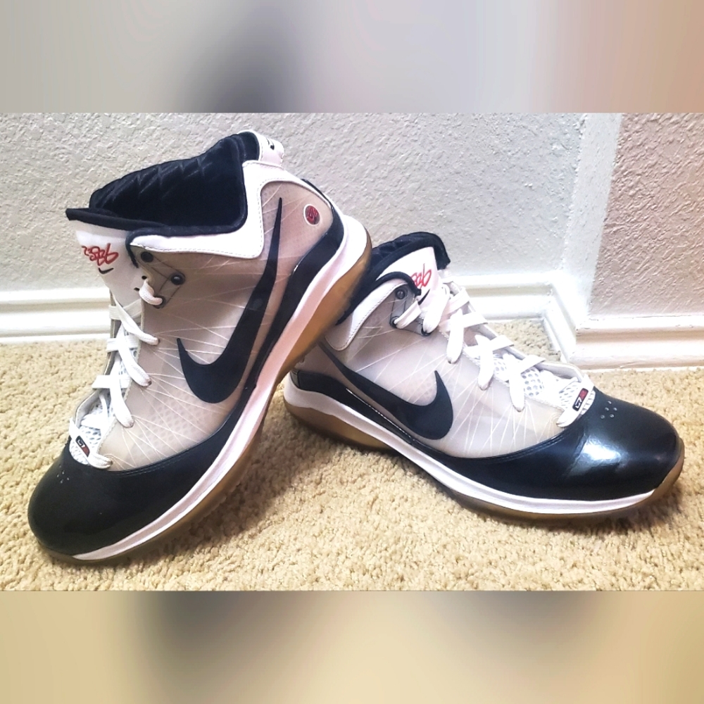 Nike LeBron James Basketball Shoes